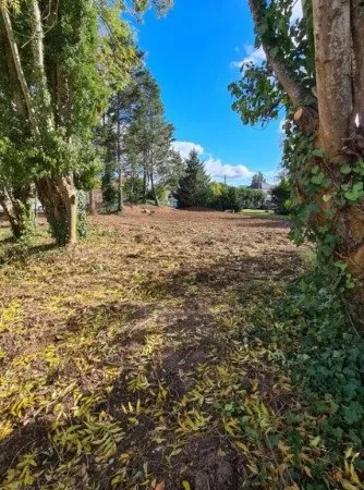 Terrain 883 m²