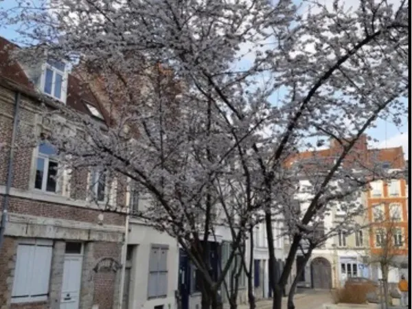 Appartement meublé vieux Lille F2