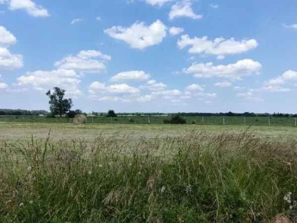 Terrain 381 m²