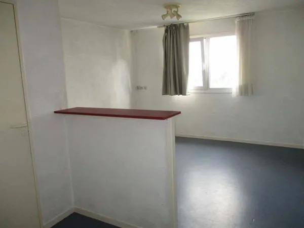 Appartement 1 pièce 19 m²