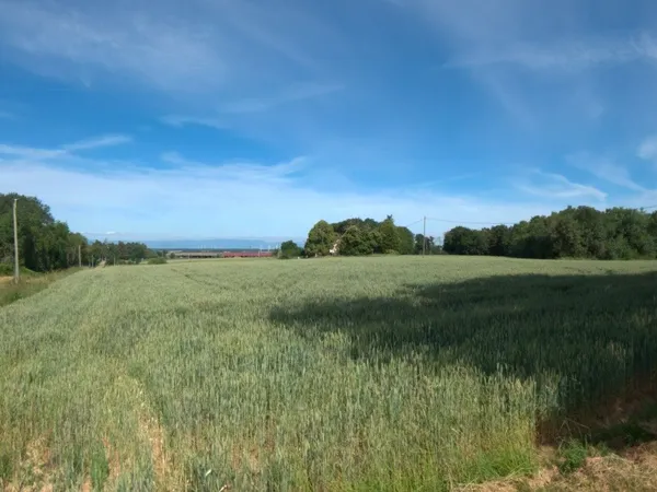 A vendre - Roybon (38940) - 3 parcelles de terrain agricole avec potentiel de loisirs et d'activités