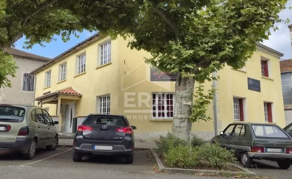 SUPERBE IMMEUBLE A USAGE ET PROJET MULTIPLES