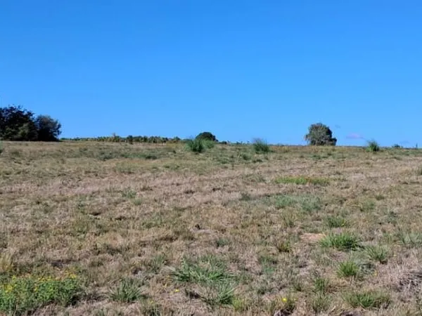 Terrain 2546 m²