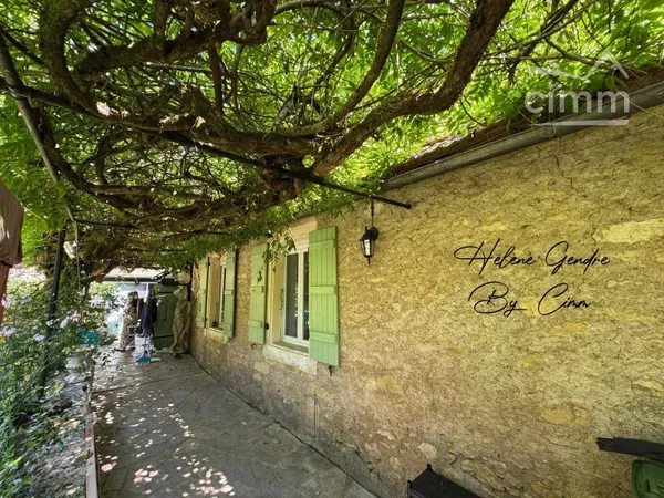 Charmante maison en pierre avec jardin au cœur de Montignac-Lascaux