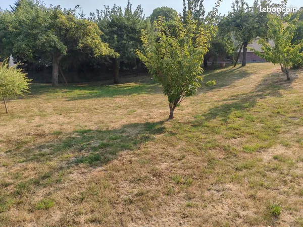 Terrain constructible