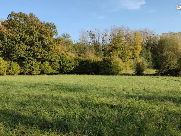 Ensemble Terrain constructible Pâture et Bois idéal pour cavaliers et chevaux