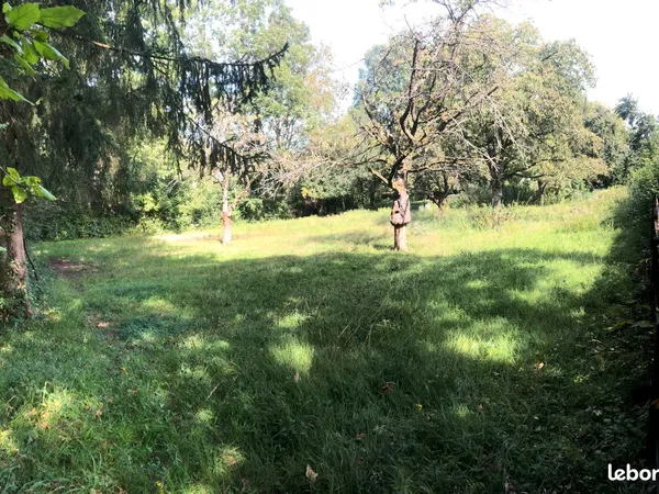 Terrain à bâtir 700 m² (965 m²) - Prix très attractif - CU opérationnel