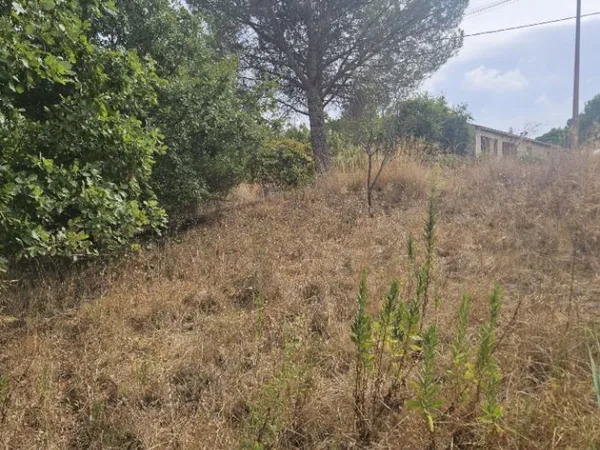 Terrain 503 m²
