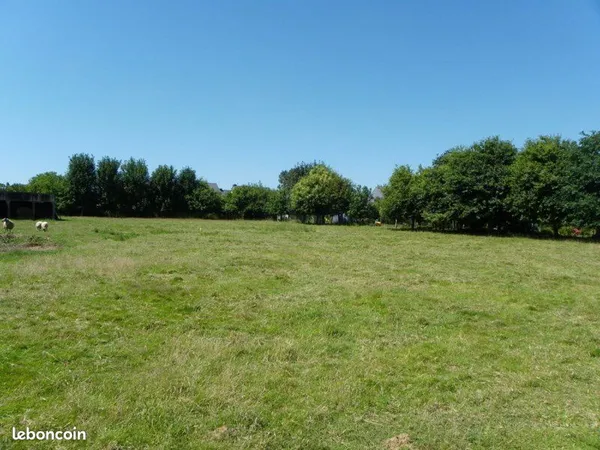 Terrain agricole