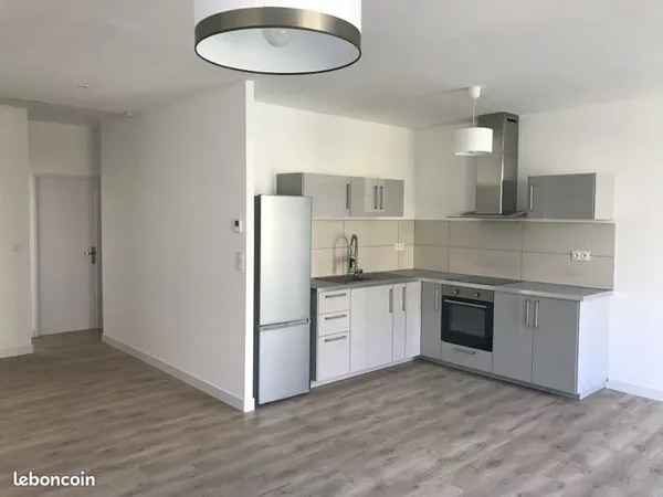 F3 entièrement rénové - Cours Fauriel - Proche École des Mines & EM Lyon
