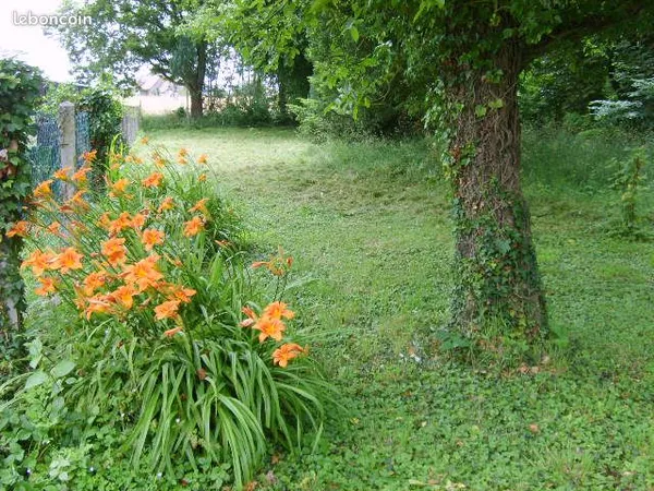 Tres grande maison et magnifique parc