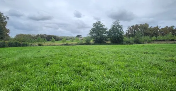 Terrain 2973 m²