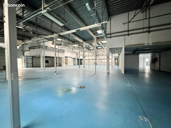 Local d'activité 1 799 m²