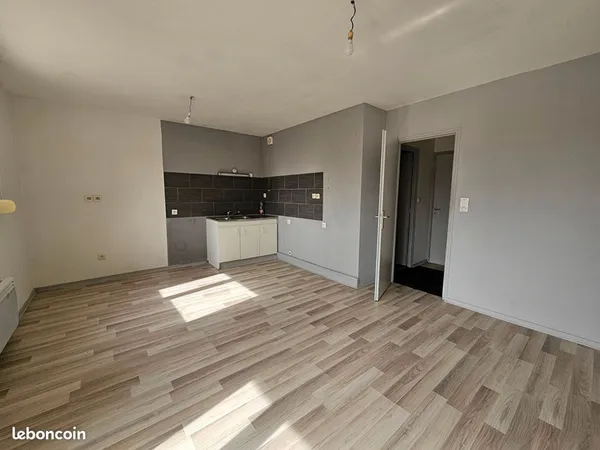 Appartement 1 pièce 43 m²