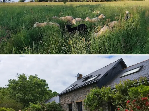 Vends appartement 65m² au Feu Geslin : projet d'habitat participatif en recherche de co-habitants