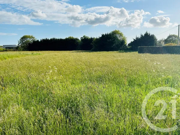 Terrain 854 m²