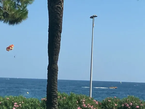 Appartement de 33m2 à louer sur Cannes