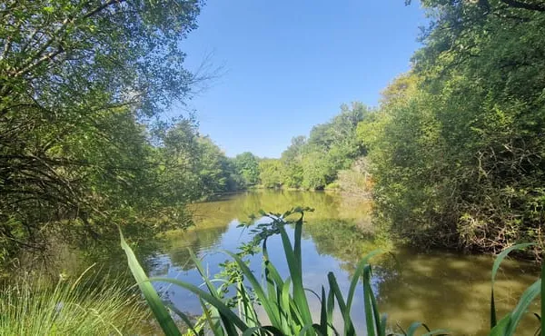 Etang avec guiguette d'environ 80m2, sur 1 hectare 300