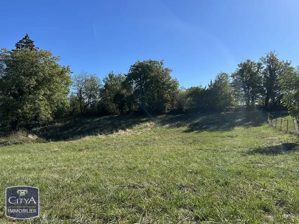 Terrain à bâtir Vente Grand-Corent  1004m² 55000€