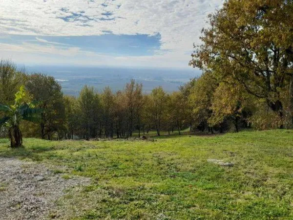 Terrain 2386 m²