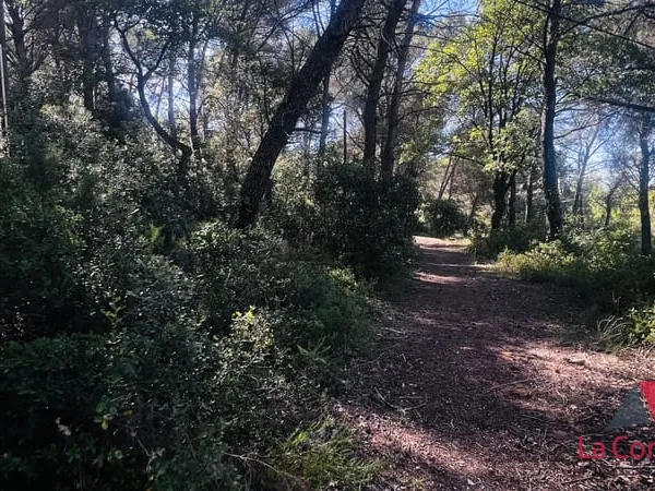 Terrain boisé 3 630m2 Eguilles
