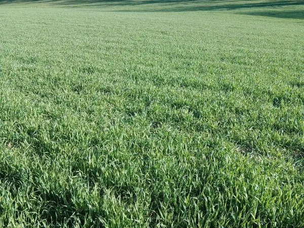 Vends terres agricoles