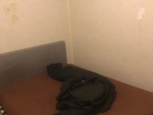 Colocation à louer