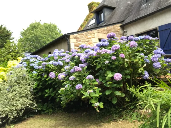 Maison - longère 160m2 - 5/6 pièces - Meublée