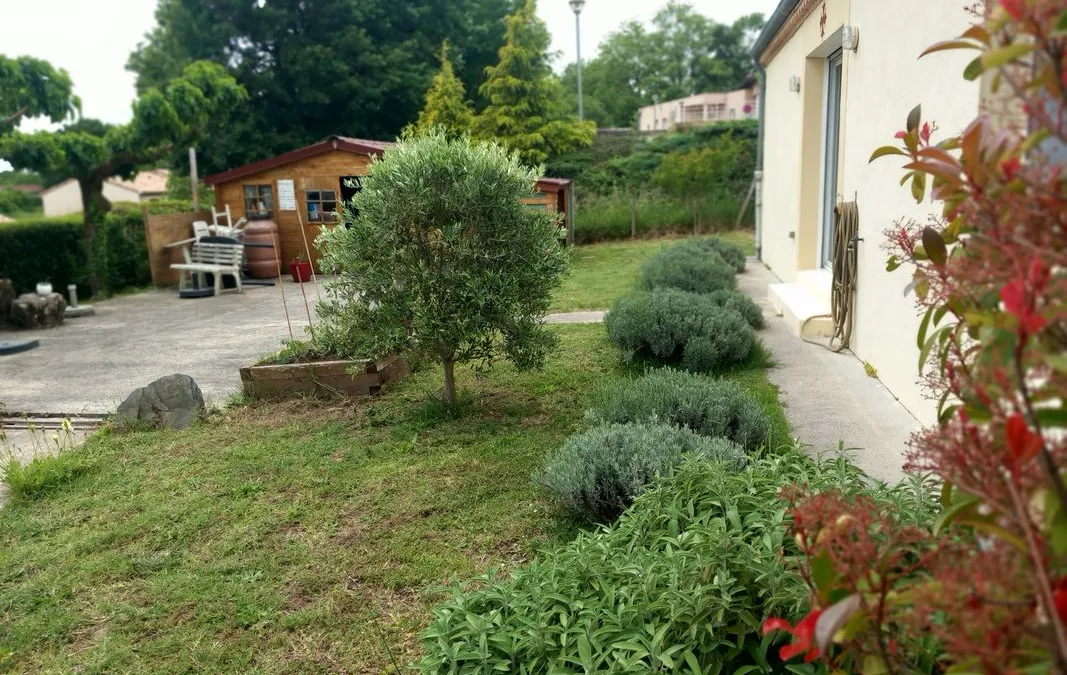 Photo 3