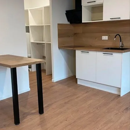 Appartement T2 rénové 60m²