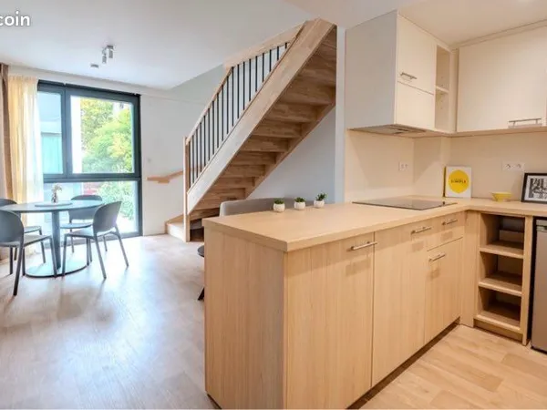 T3 en duplex de 65 m², lumineux et refait à neuf - Tourcoing - Parking