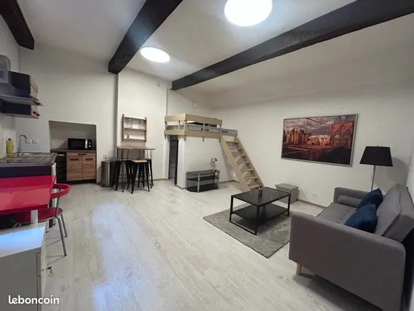 Appartement T1 meublé 36 m² - Vienne hyper centre