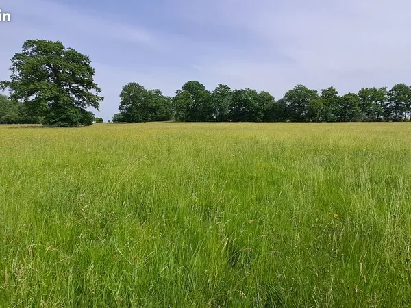 À vendre parcelle de terre agricole