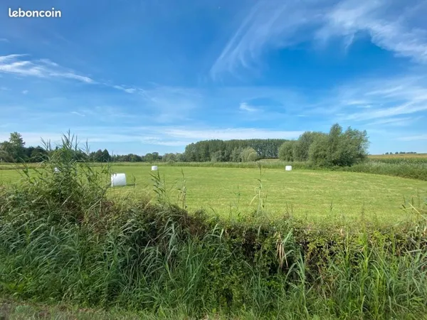 Prairie à VENDRE Aire sur la LYS 7000 m2 Libre d'occupation