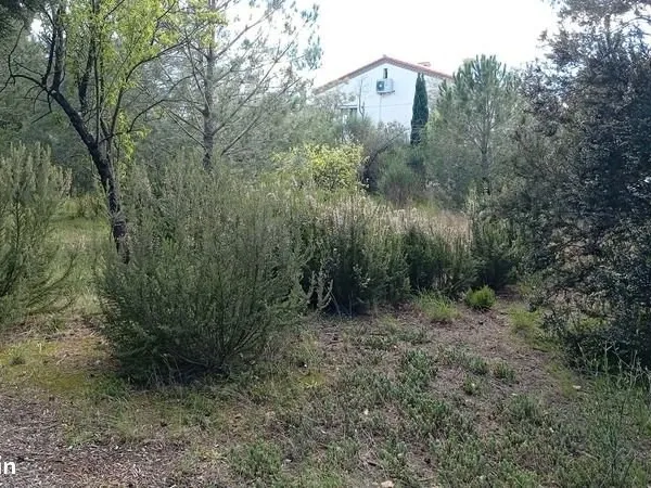 Terrain 1 078 m² Le Boulou