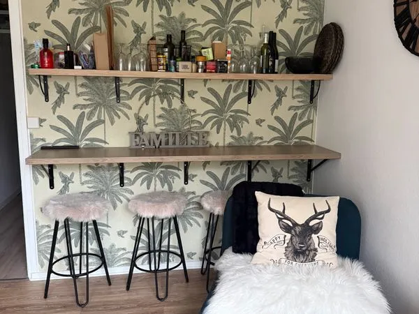 Studio pied des pistes