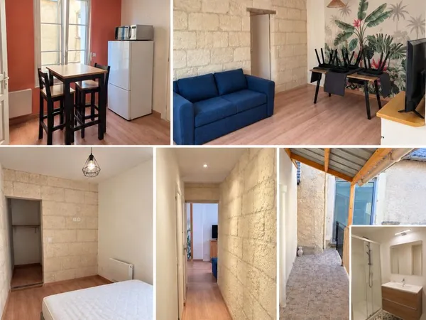 Appartement meublé 50m2 entièrement rénové Bourgueil