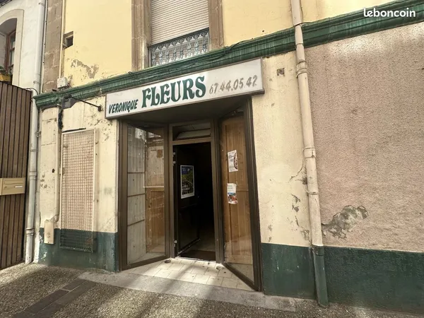 Local commercial 29 m² Lodève