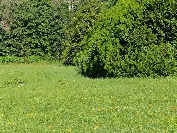 Terrain 2800 m² Cusset