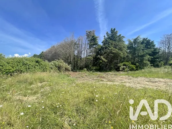 Terrain 990 m²
