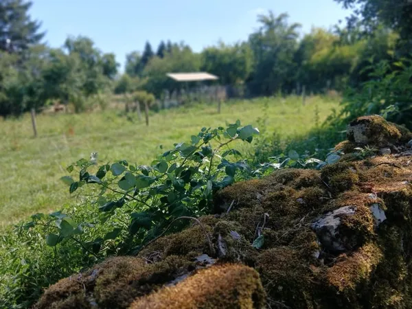 Terrain agricole au calme 400m²
