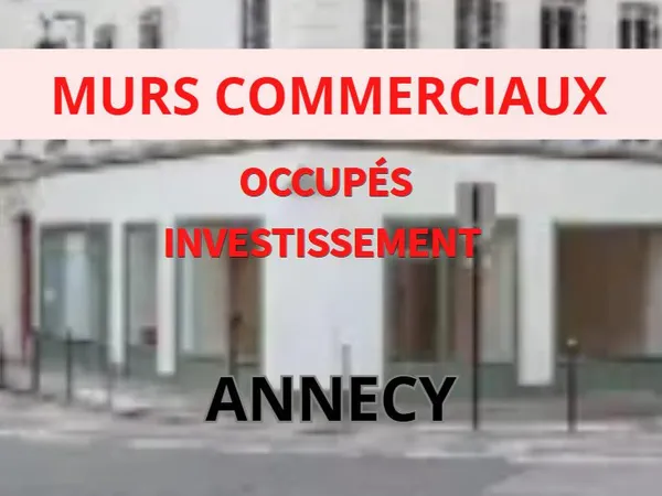 Immobilier Professionnel à vendre Annecy