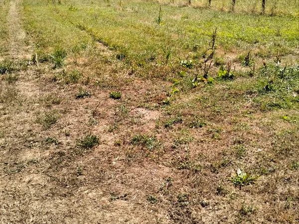 Terrain non constructible