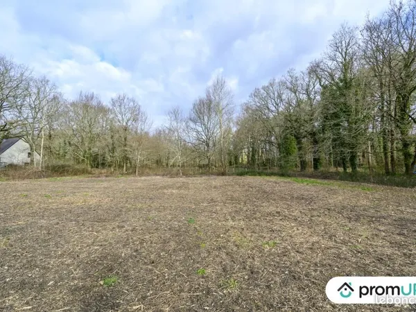 Terrain 1 209 m² Ferel