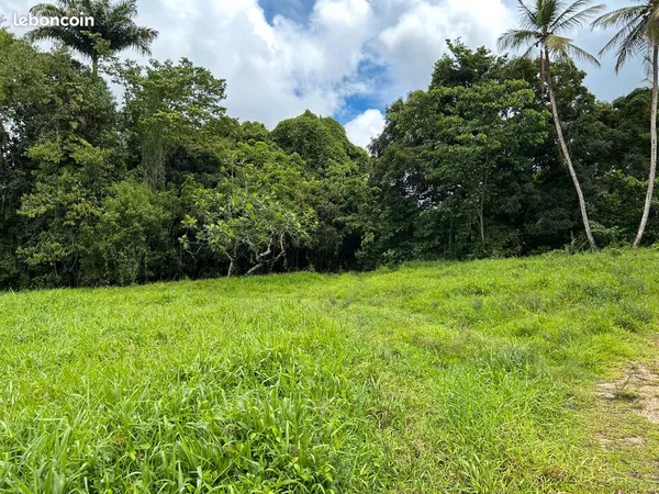 Terrain constructible 650 m² — Beau Soleil, Les Abymes — Grands Fonds, secteur calme