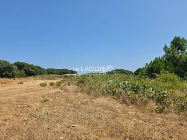 Terrain en individuel 275 m²