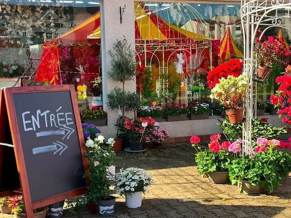 Boutique 1 pièce 239 m²