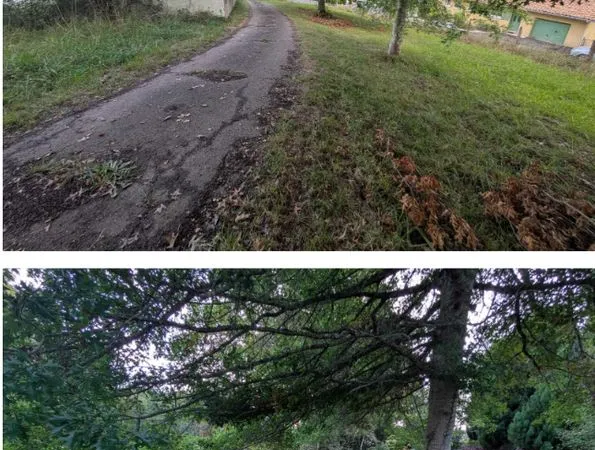 BIAUDOS - Terrain à bâtir 1 286 m² - 145 000 - DP + G1