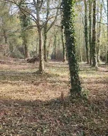 🌿 +5000 m² EN BORD DE LAC DE SAINT-VINCENT-SUR-GRAON