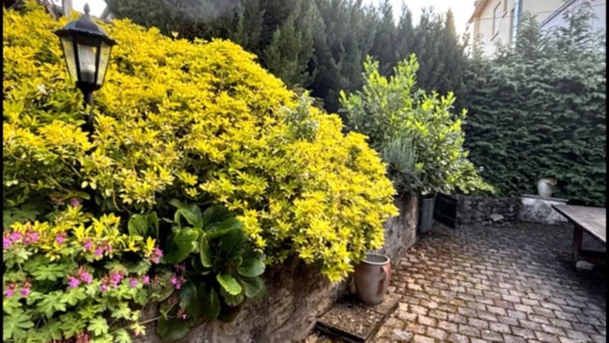 Photo 21